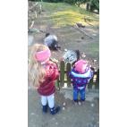 zoo-01.jpg